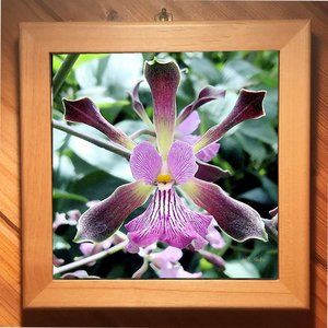 Orchid Art - High Gloss Ceramic Tile Trivet